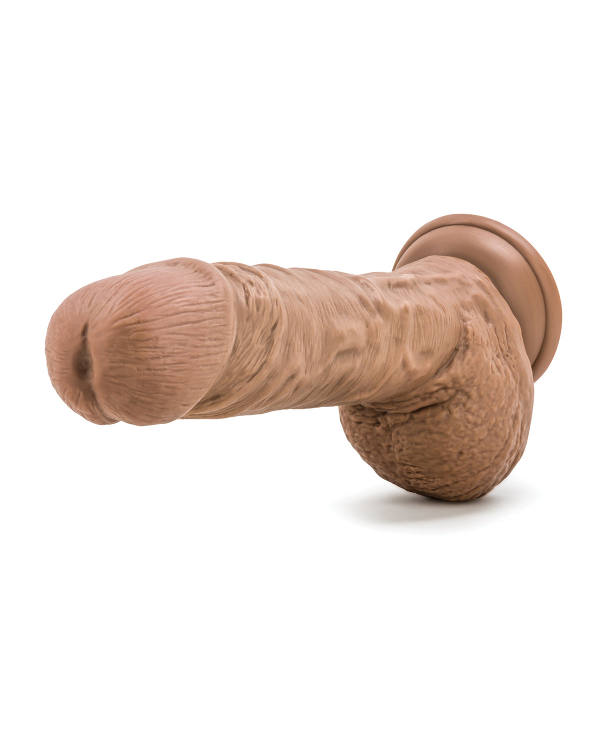 Blush Coverboy Personal Trainer - Latin